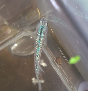 20210907_135943 (1).jpg