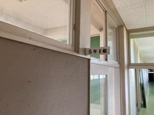 image1 (1).jpeg