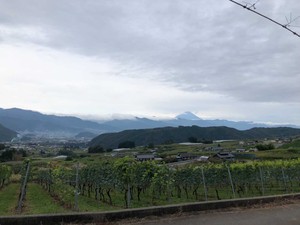 iOS の画像 (2).jpg