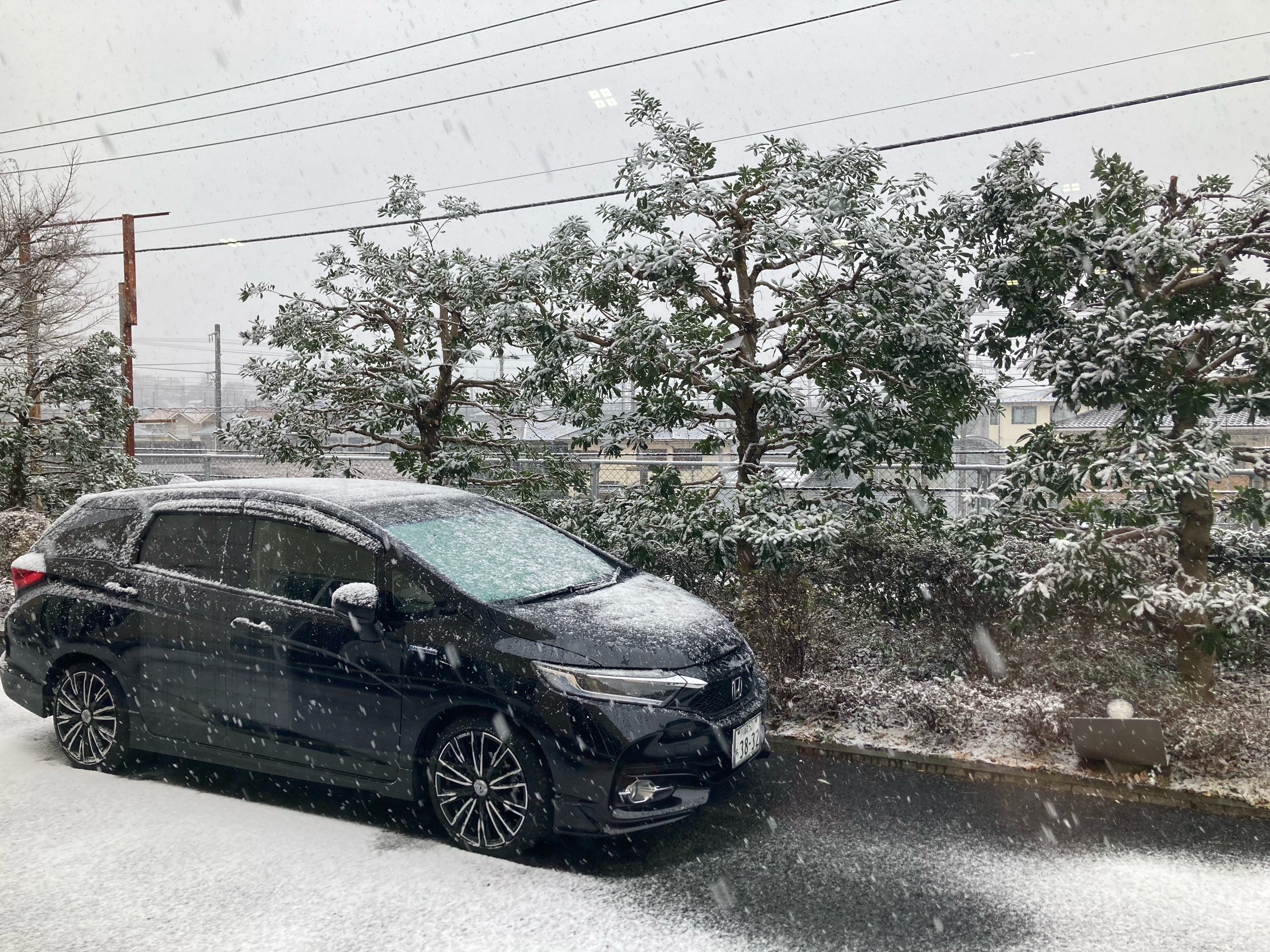 hachioji2201074.jpeg