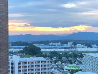 hachioji2207221.jpeg