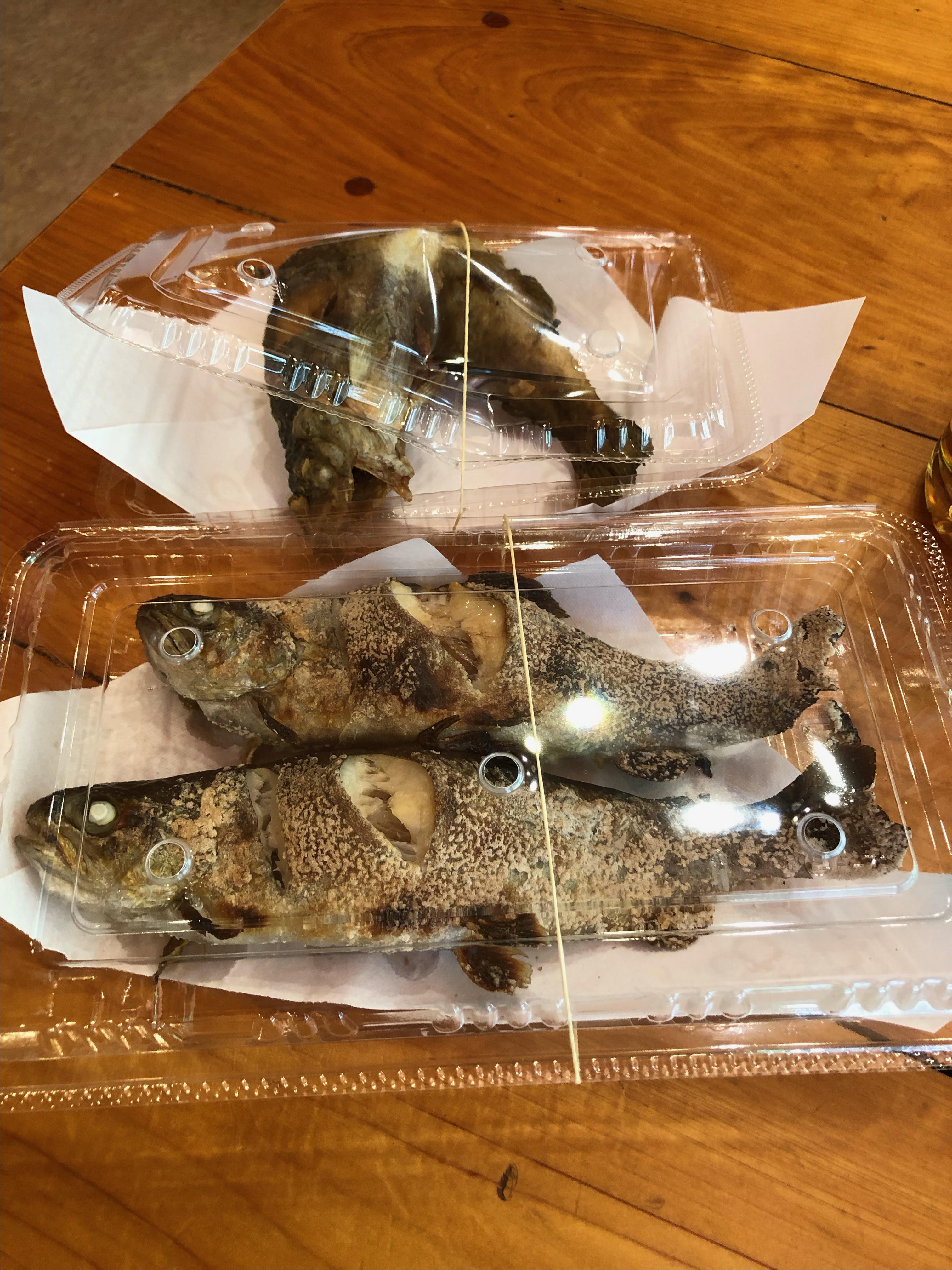 kawachi2208103 (1).jpeg