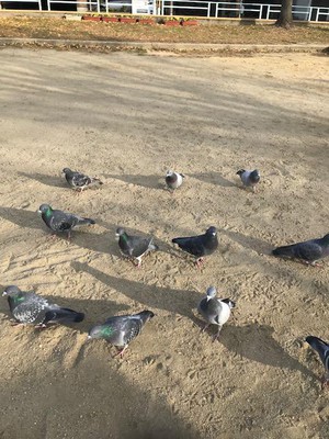 image0 - 2022-12-15T145356.289.jpeg