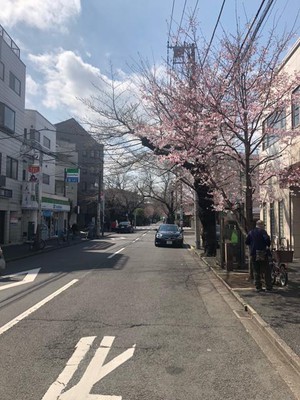 image0 - 2023-03-17T095331.199.jpeg