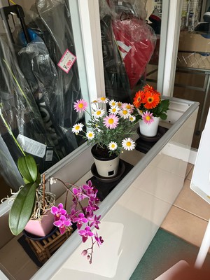 image2 (4).jpeg