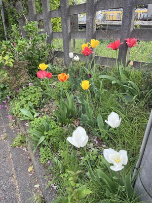 image1-12.jpeg