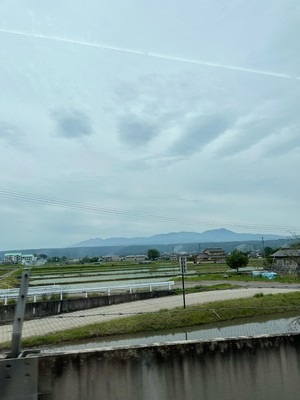 hachi240524.jpeg