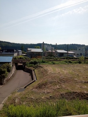 DSC_0287.jpg