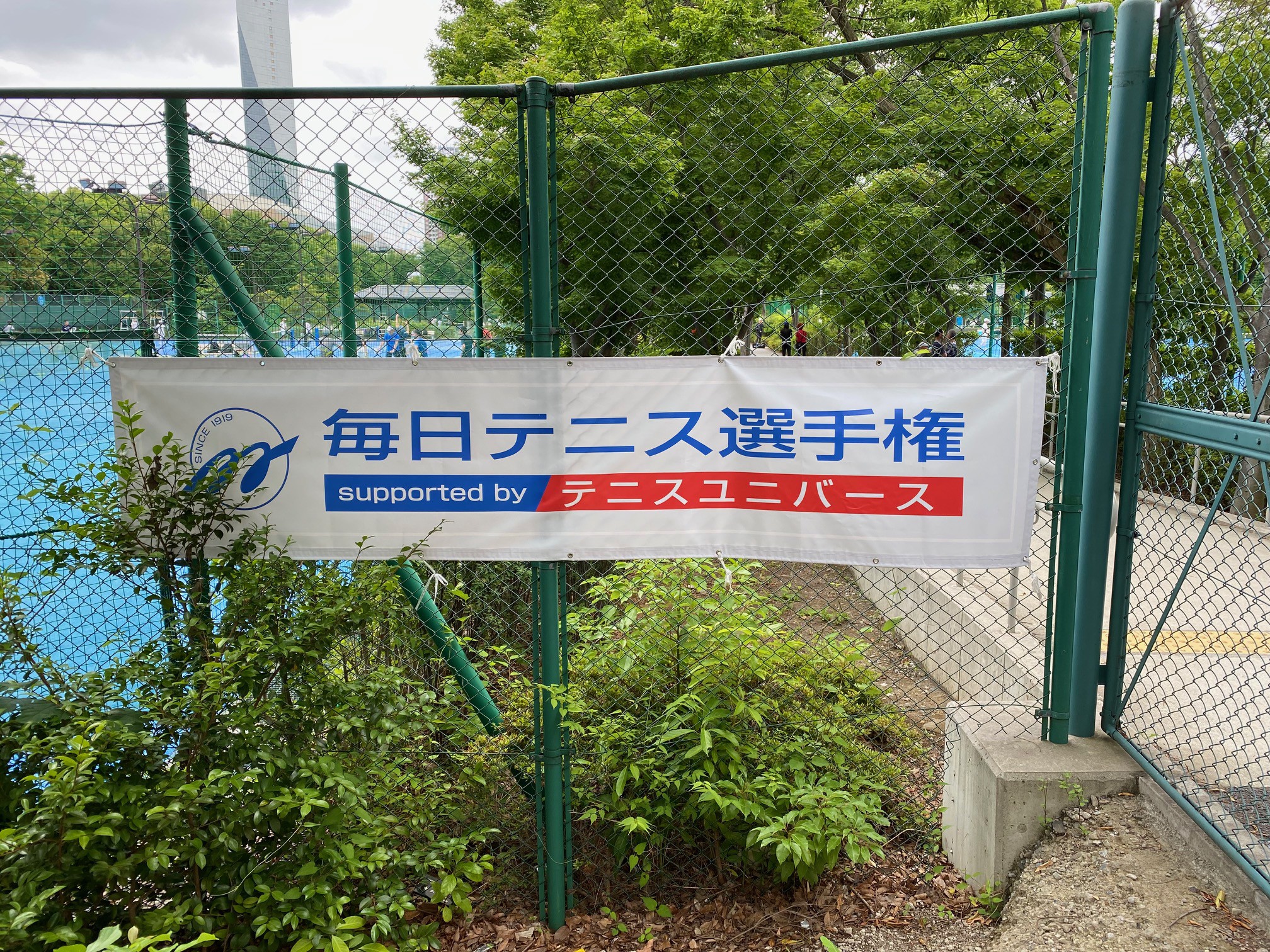 mejiro2406101.jpg