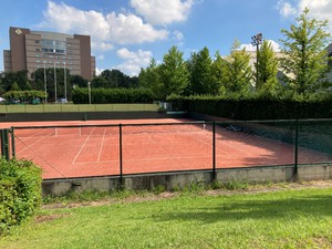hachi240612.jpg