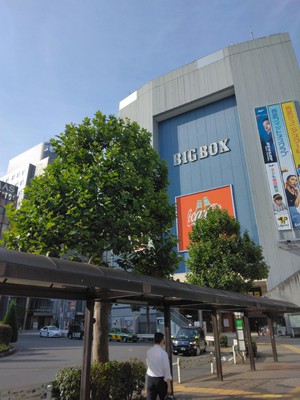 IMG_20240620_070234.jpg