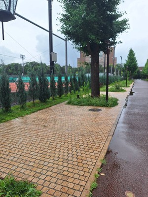 大久保 試合結果.jpg