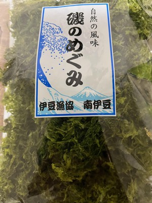 hachi240722.jpeg