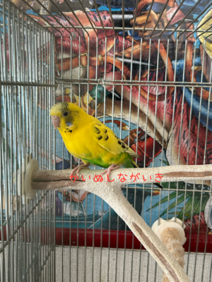 image0.png