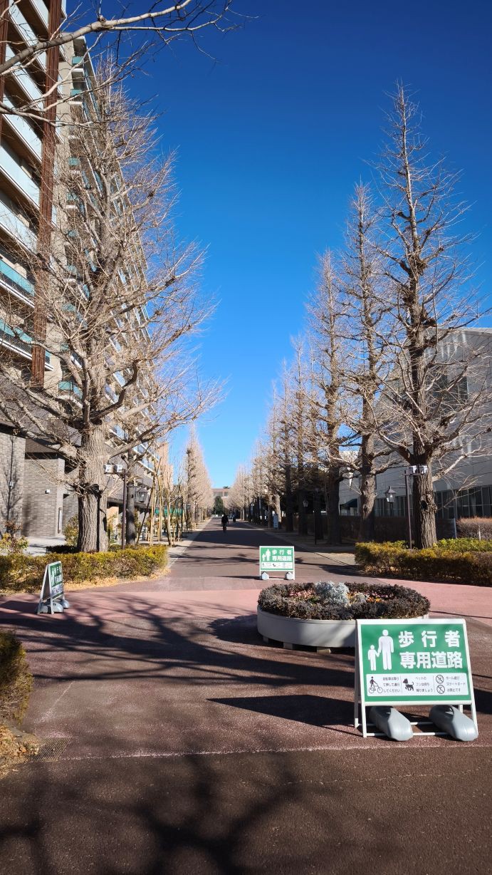 mejiro2502121.jpg