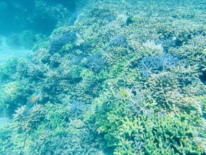 image4.jpeg