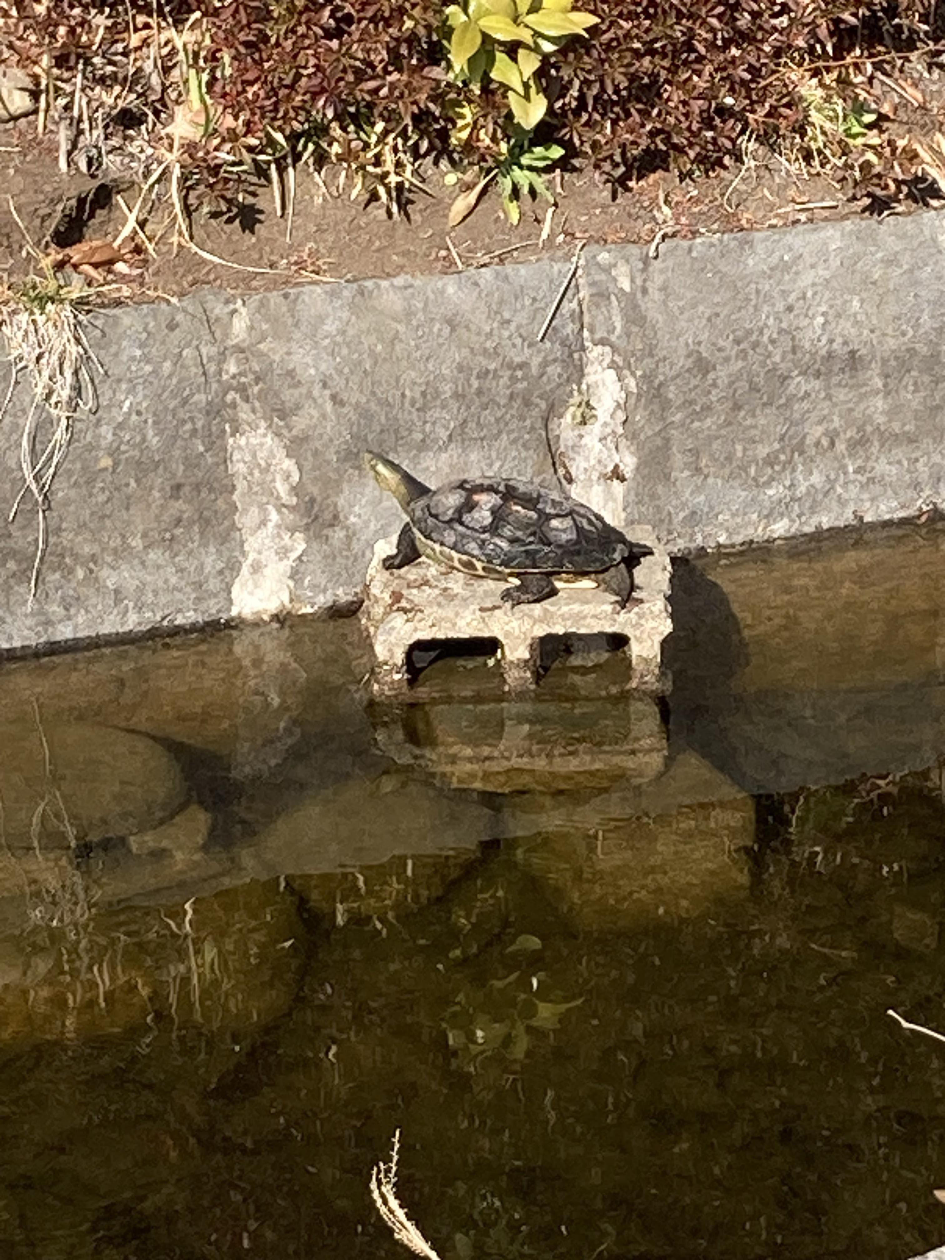 hachioji250221.jpeg