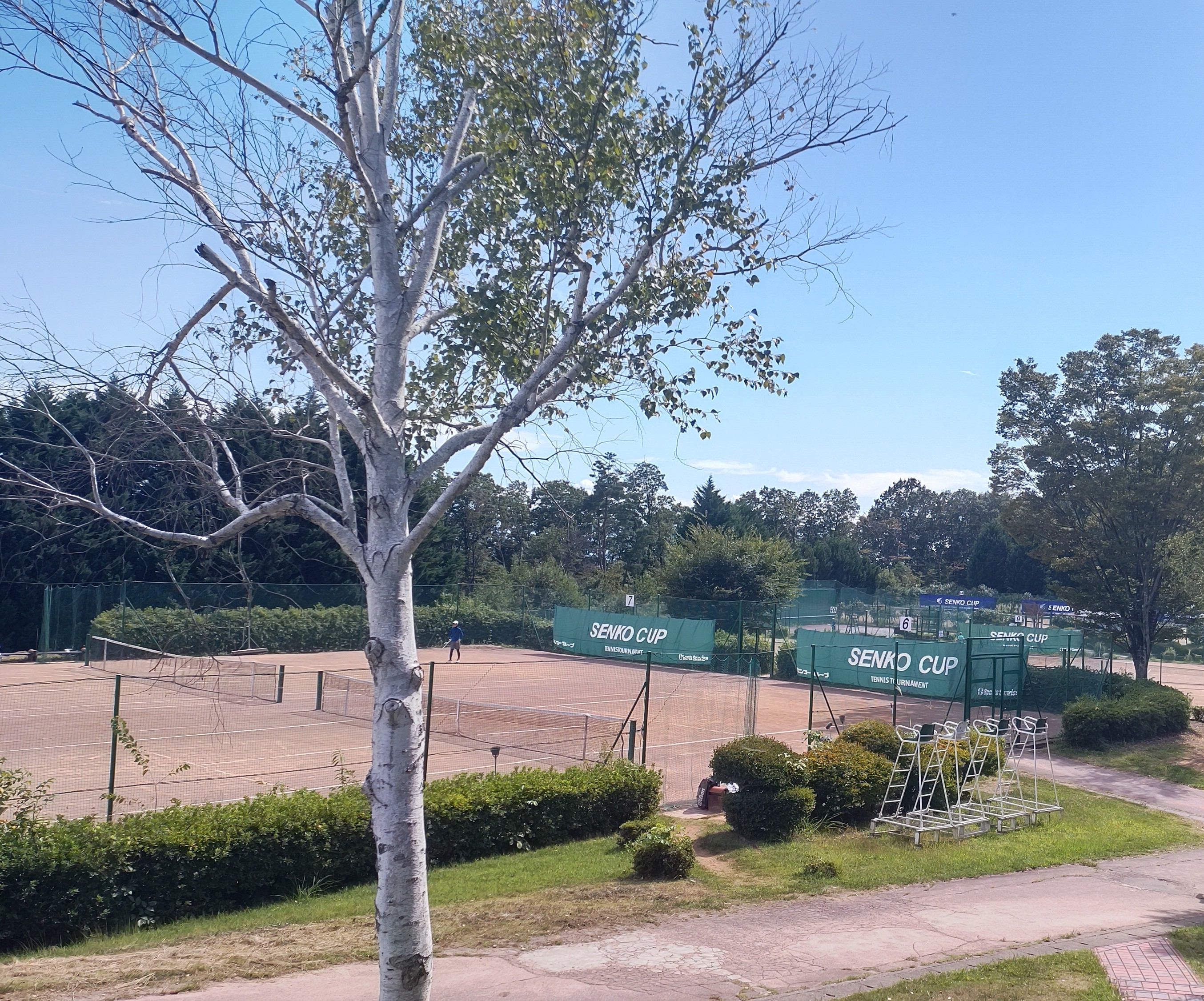 hachioji250311.JPG