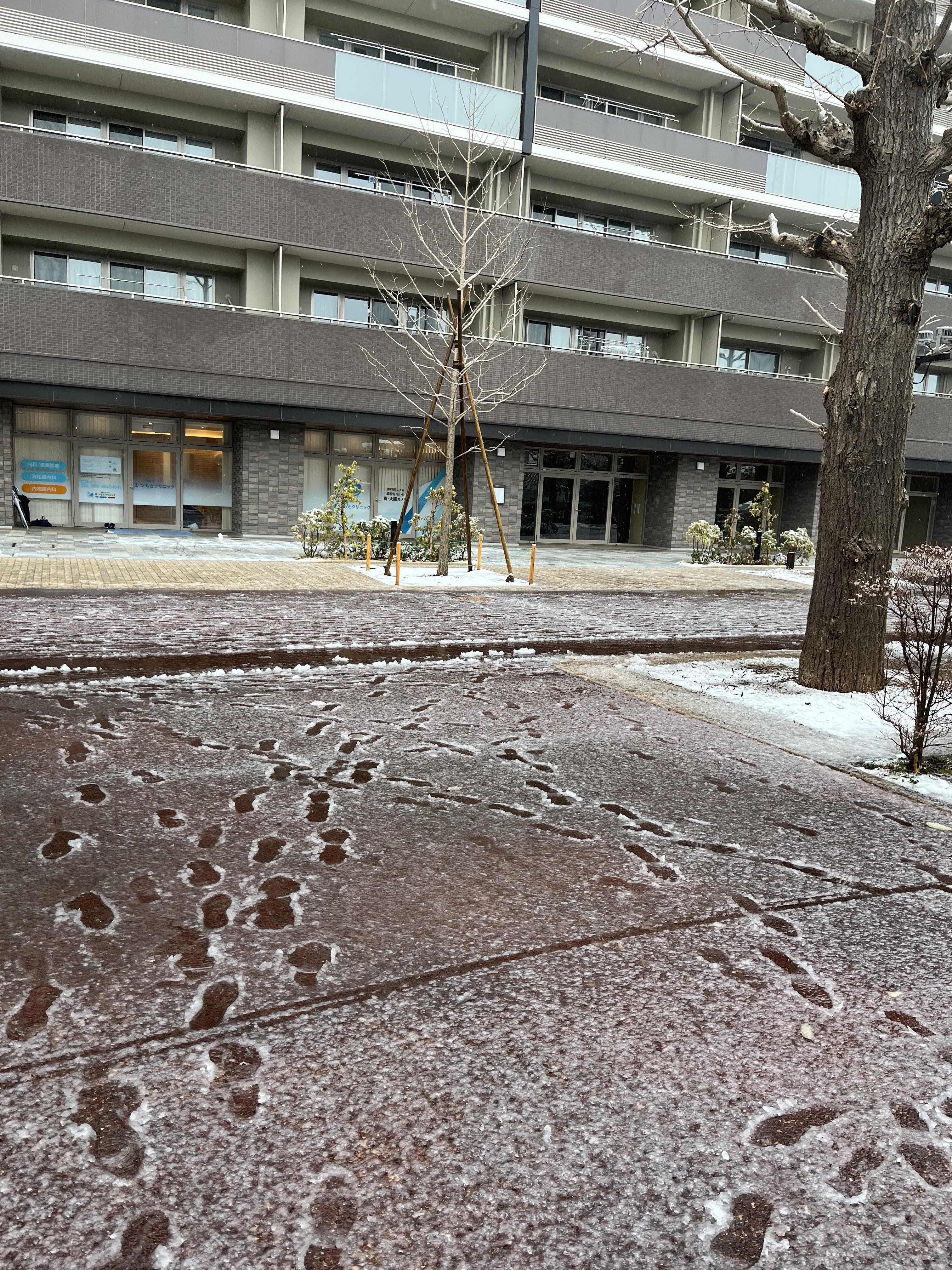 hachioji2503191.jpeg