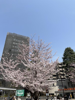 image1.jpeg