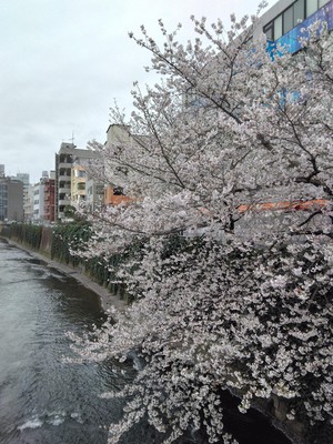 IMG_20250403_070215.jpg