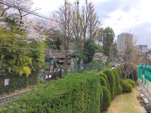 IMG_20250407_090840.jpg