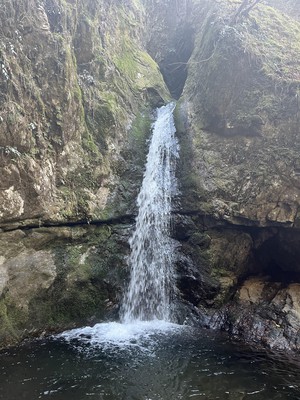 image0.jpeg