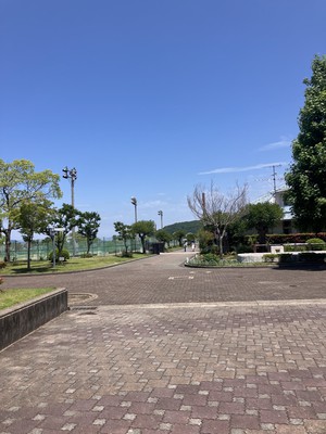 IMG_8372.jpeg