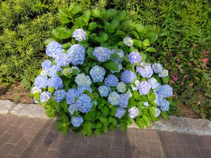 IMG_20250529_064941.jpg