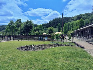 1000040318 (1).jpg