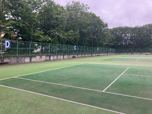 IMG_8414.jpeg