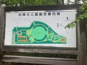IMG_8413.jpeg