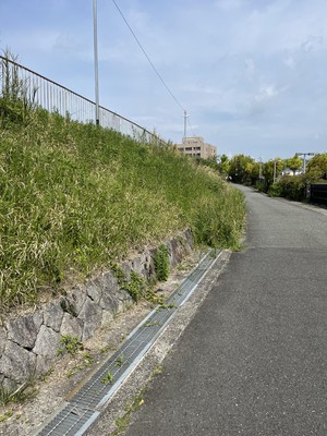 image0.jpeg