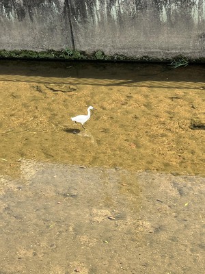 image0.jpeg