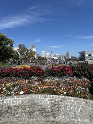 IMG_1674.jpeg