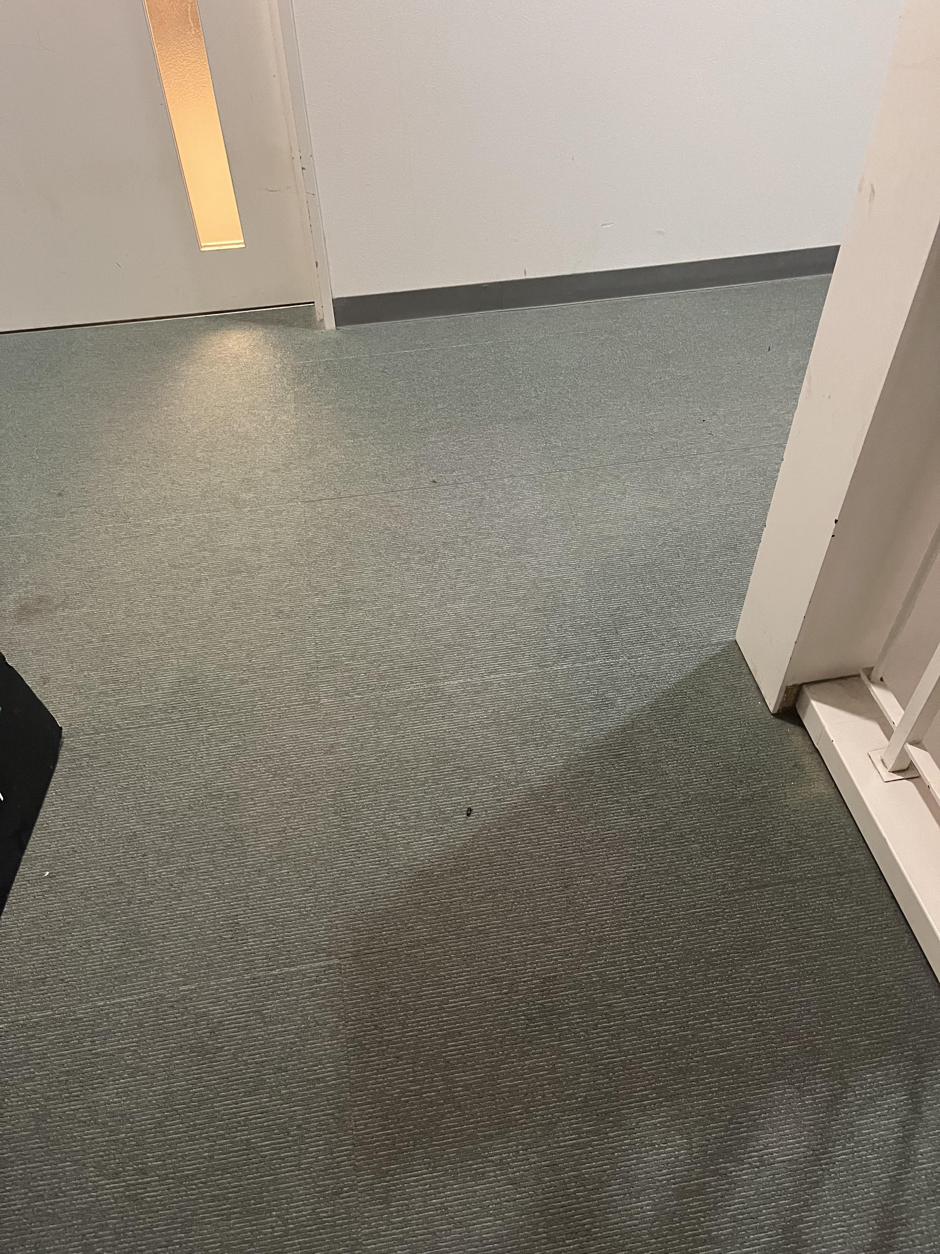 zavas2606021-1.jpeg