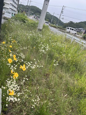 image0-1.jpeg