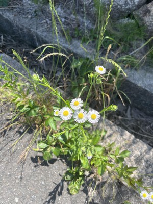 image0.jpeg