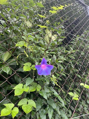 image0.jpeg
