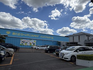 IMG_0567.jpeg