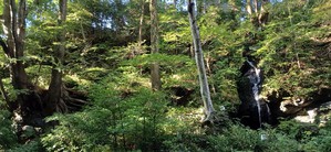KIMG20260819_072439621.JPG