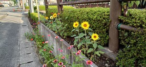 KIMG20260818_062514221.JPG