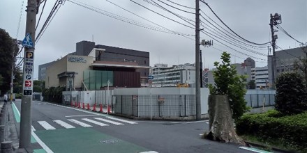 mejiro2609142.jpg