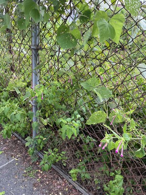 image0.jpeg