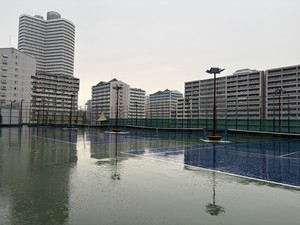 IMG_0809.jpeg