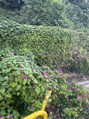 image0.jpeg