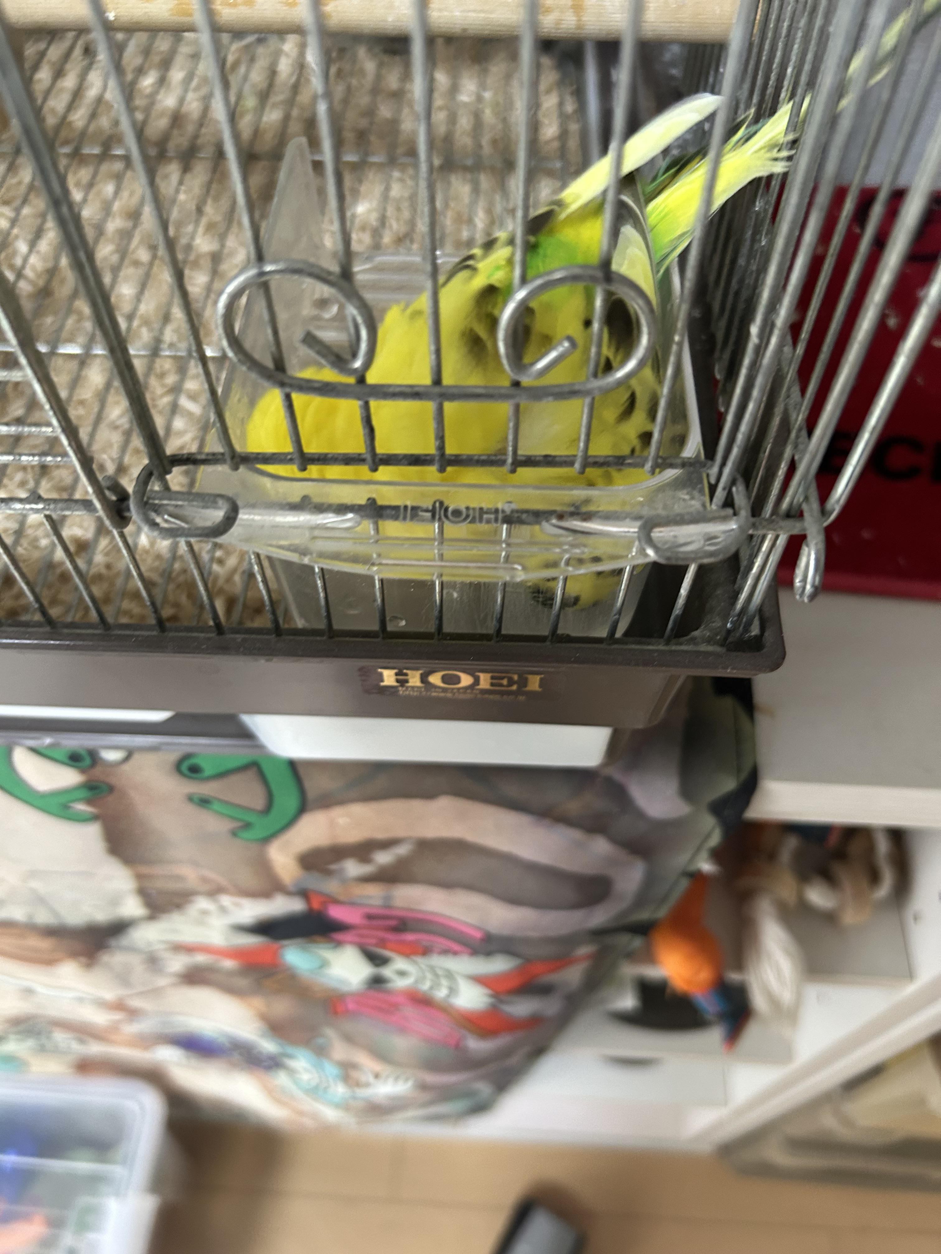 kawachi261028.jpeg