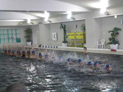 zavas1409013.JPG