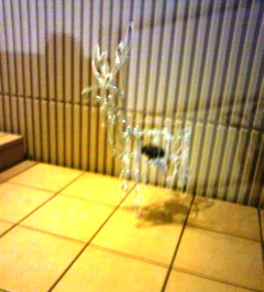 hachioji20111117_2 (2).JPG