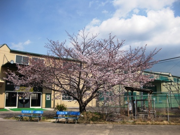 otobe20120407_2.JPG